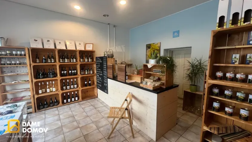 Pronájem obchodního prostoru, Napajedla, 65 m2