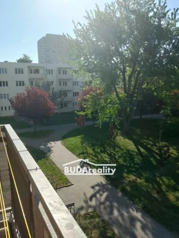 Prodej bytu 3+1, Zlín - Malenovice, Husova, 65 m2