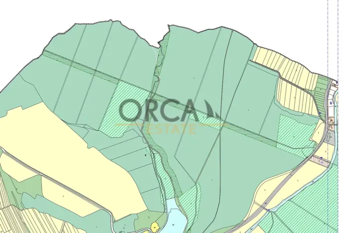 Prodej louky, Březolupy, 1729 m2