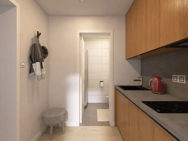 Pronájem bytu 1+1, Brno - Židenice, Bubeníčkova, 35 m2