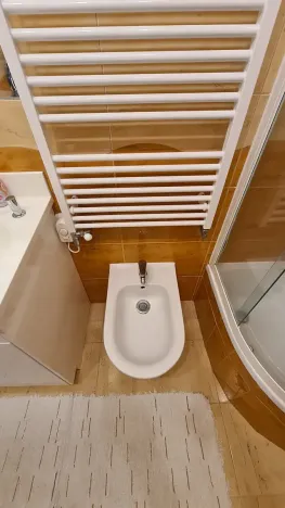 Pronájem bytu 3+kk, Praha - Podolí, Pod Pekařkou, 71 m2