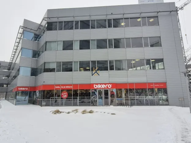 Pronájem komerční nemovitosti, Praha - Holešovice, Jankovcova, 291 m2