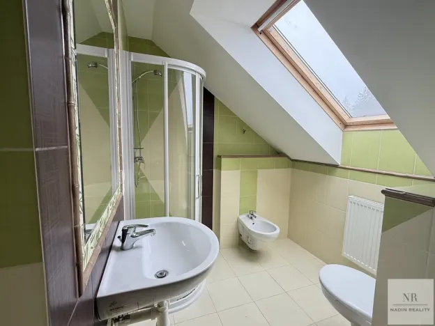 Prodej vily, Nová Role - Mezirolí, 350 m2