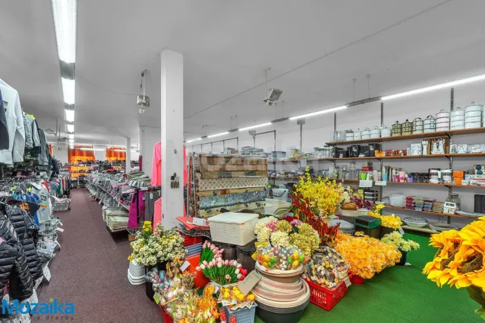 Prodej činžovního domu, Lanškroun - Lanškroun-Vnitřní Město, Školní, 704 m2