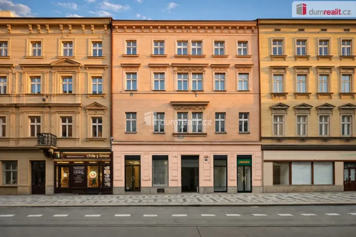 Pronájem obchodního prostoru, Praha - Smíchov, Lidická, 200 m2