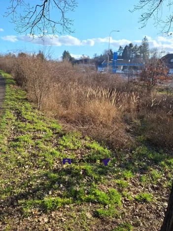 Prodej pozemku, Žatec, 1097 m2