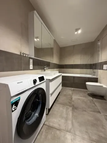 Pronájem bytu 2+kk, Ostrava - Moravská Ostrava, F. X. Riepla, 60 m2