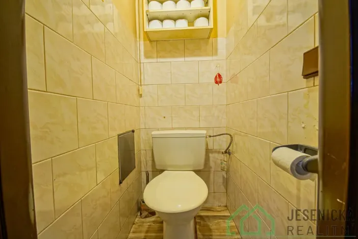 Prodej rodinného domu, Javorník, Družstevní, 407 m2