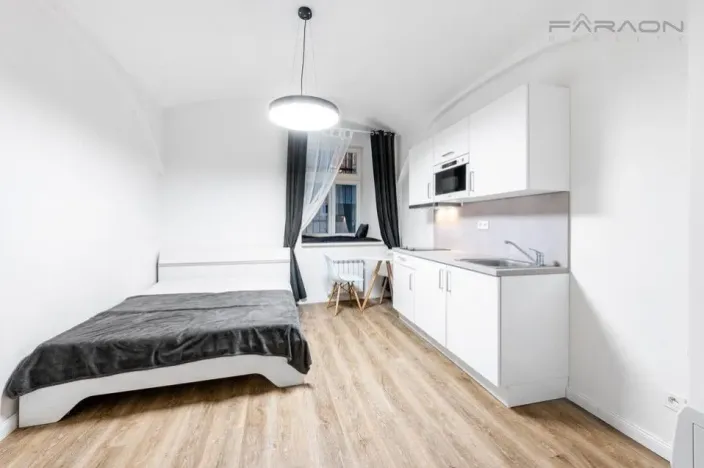 Pronájem bytu 1+kk, Praha - Nové Město, Petrská, 26 m2
