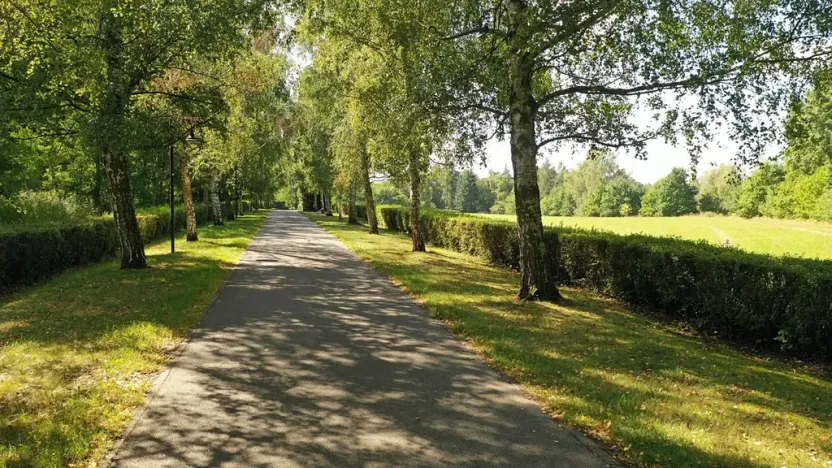 Prodej pozemku, Lázně Bohdaneč, Pod Břízami, 8173 m2