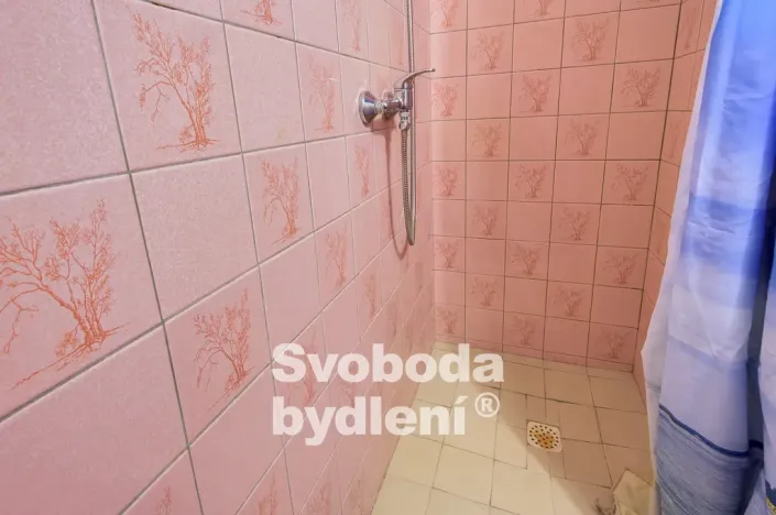 Prodej rodinného domu, Nymburk, Drahelická, 222 m2