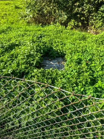 Prodej pozemku pro bydlení, Janov, 1176 m2