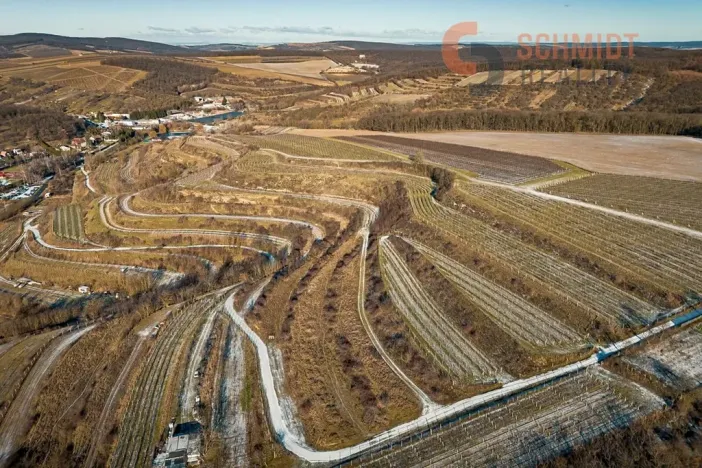 Prodej sadu/vinice, Němčičky, 4556 m2