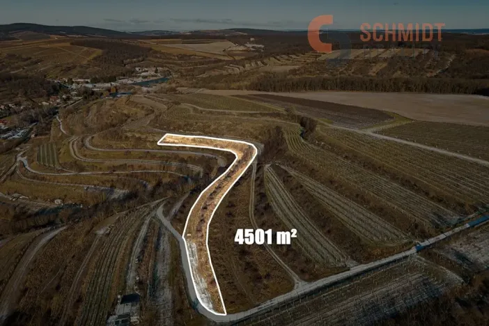 Prodej sadu/vinice, Němčičky, 4556 m2