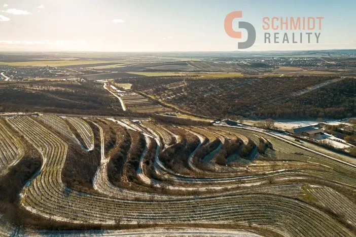 Prodej sadu/vinice, Němčičky, 4556 m2