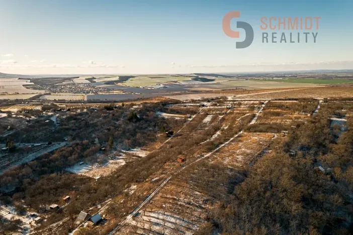 Prodej sadu/vinice, Hustopeče, 2896 m2