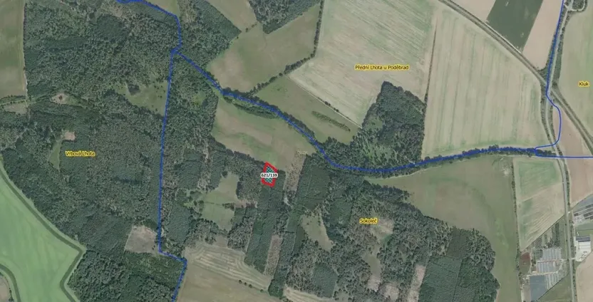 Prodej lesa, Sokoleč, 1948 m2