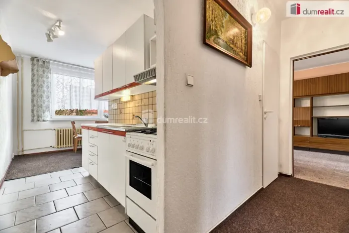 Prodej bytu 3+1, Ústí nad Labem - Ústí nad Labem-centrum, Ženíškova, 65 m2