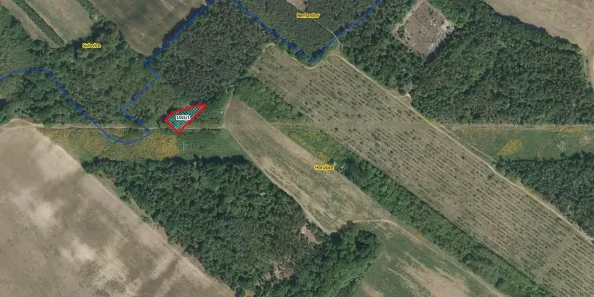 Prodej louky, Horušice, 1217 m2