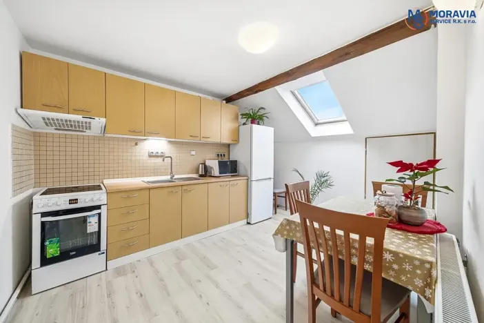 Prodej bytu 1+1, Olomouc, Javoříčská, 54 m2