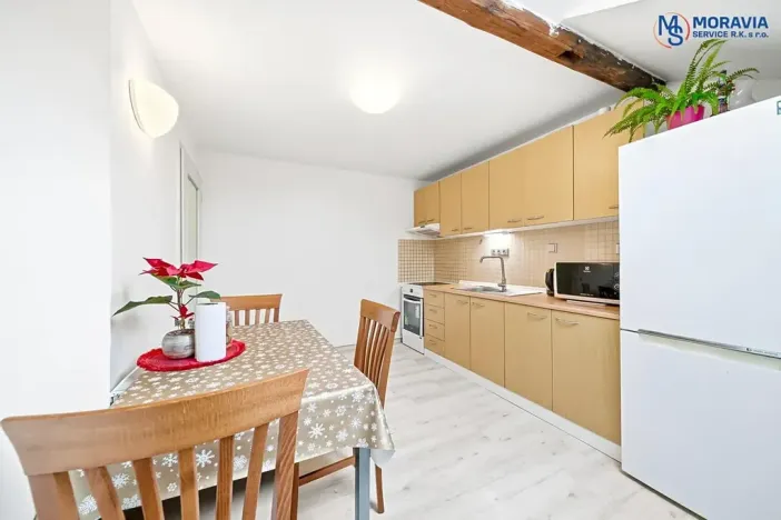 Prodej bytu 1+1, Olomouc, Javoříčská, 54 m2