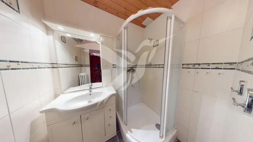 Pronájem rodinného domu, Plzeň, Sušická, 170 m2