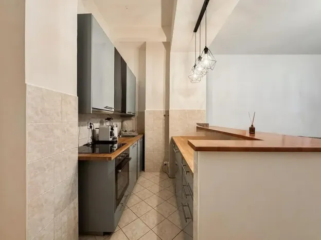 Pronájem bytu 2+kk, Praha - Karlín, Peckova, 67 m2