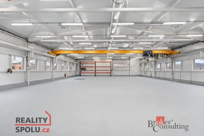 Pronájem výrobních prostor, Blešno, 700 m2