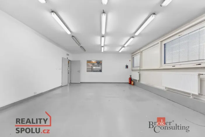 Pronájem výrobních prostor, Blešno, 700 m2