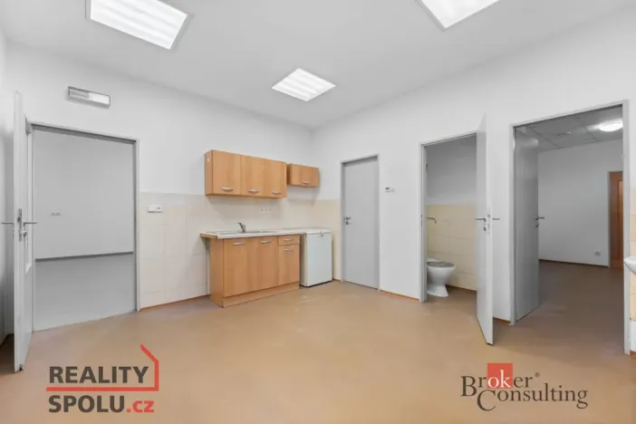 Pronájem výrobních prostor, Blešno, 700 m2