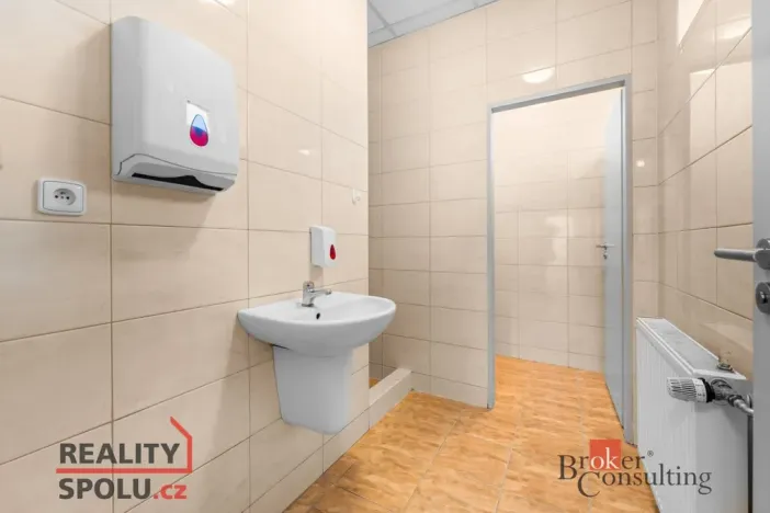 Pronájem výrobních prostor, Blešno, 700 m2