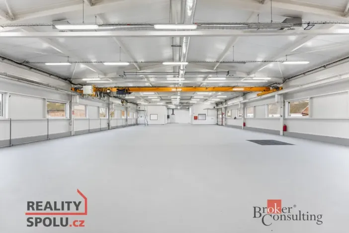 Pronájem výrobních prostor, Blešno, 700 m2