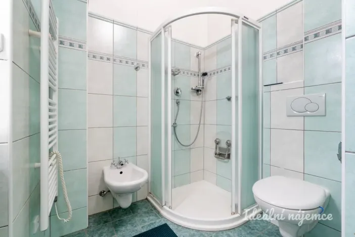 Pronájem bytu 2+kk, Praha - Nusle, Pod lázní, 40 m2