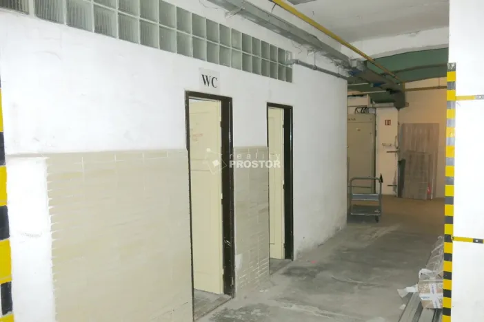 Pronájem skladu, Jirny, Tovární, 166 m2