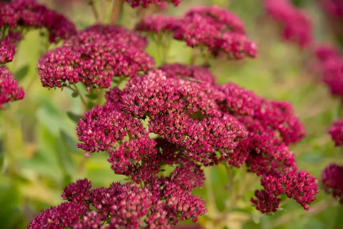 Prodej bytu 3+1, Petřvald, Nová, 79 m2