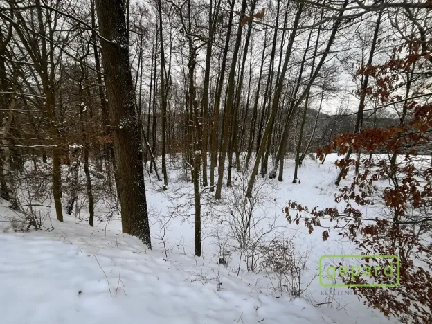 Prodej pozemku pro bydlení, Loket, 800 m2