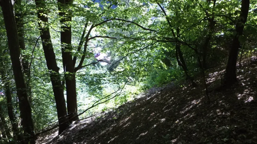 Prodej pozemku, Děčín, 675 m2