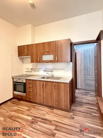 Pronájem bytu 1+1, Ostrava - Přívoz, Špálova, 45 m2