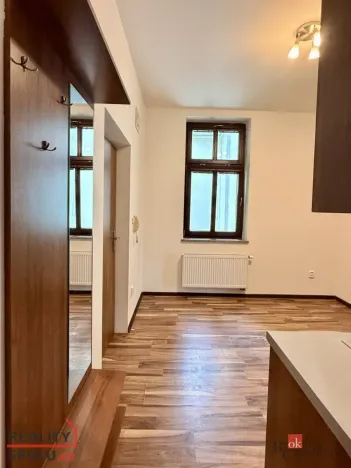 Pronájem bytu 1+1, Ostrava - Přívoz, Špálova, 45 m2