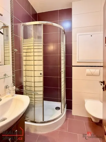 Pronájem bytu 1+1, Ostrava - Přívoz, Špálova, 45 m2