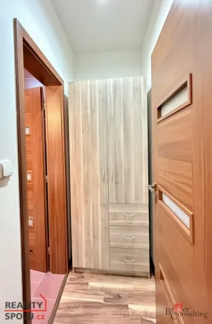 Pronájem bytu 1+1, Ostrava - Přívoz, Špálova, 45 m2