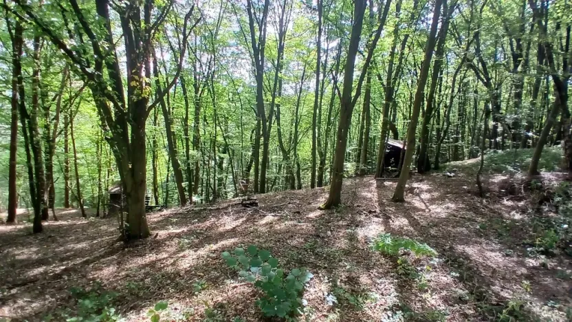 Prodej chaty, Doubravník, 32 m2