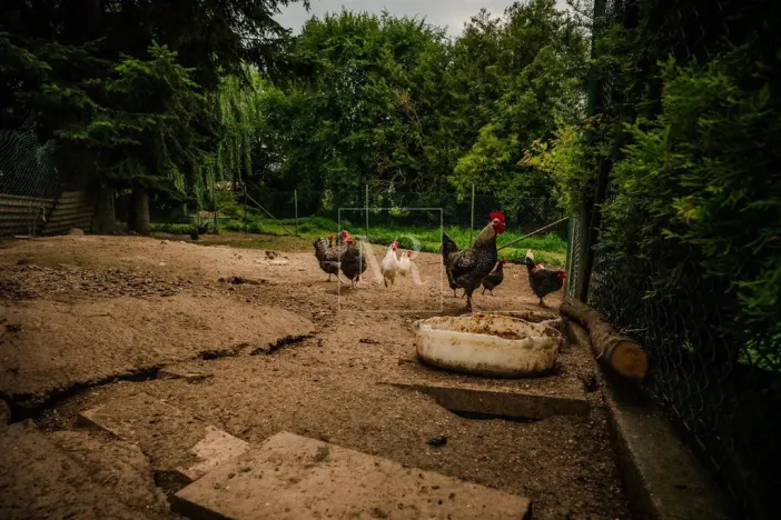 Prodej komerční nemovitosti, Sulice - Želivec, Hlavní, 370 m2