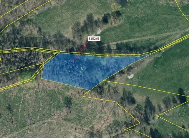 Dražba lesa, Mikulášovice, 4741 m2