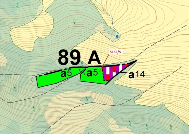 Dražba lesa, Mikulášovice, 4741 m2