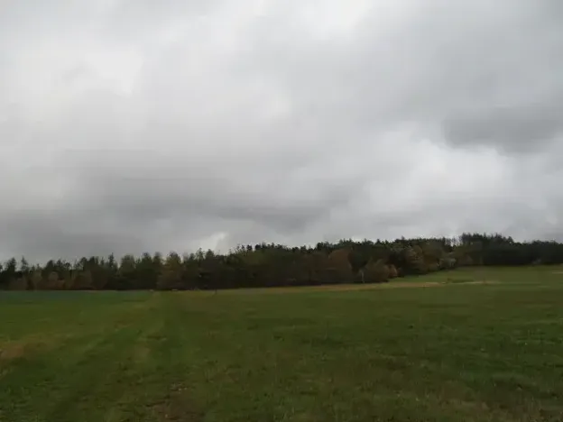 Dražba pole, Mochtín, 38121 m2