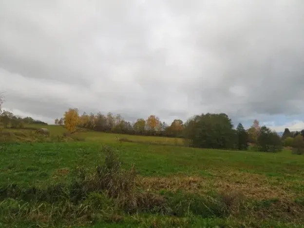 Dražba pole, Mochtín, 38121 m2