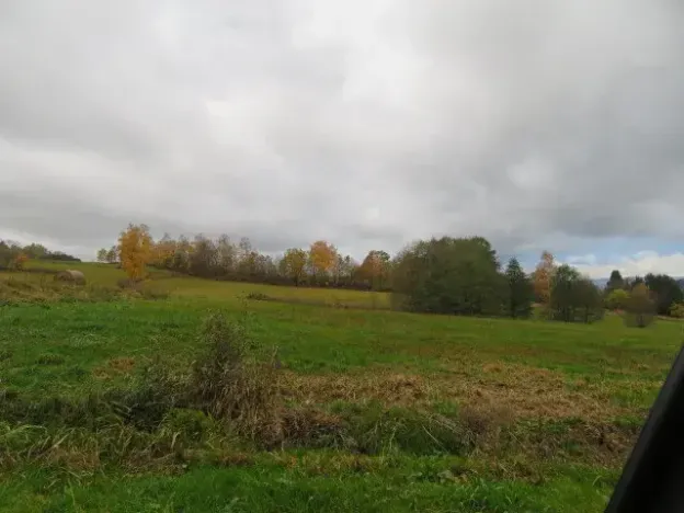 Dražba pole, Mochtín, 38121 m2