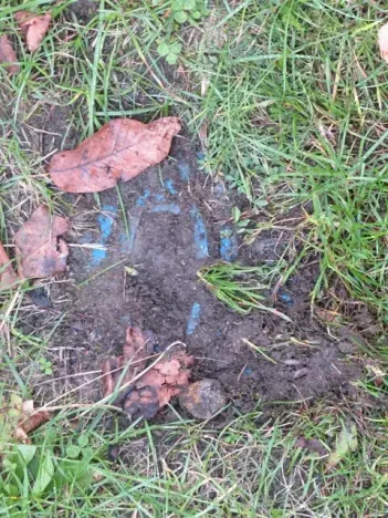 Dražba rodinného domu, Nové Syrovice, 474 m2