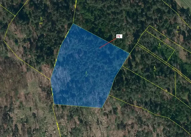 Dražba lesa, Pyšel, 6602 m2